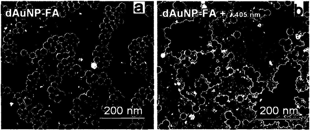 Folic acid modified gold nanoparticle, preparation method thereof, and applications of folic acid modified gold nanoparticle in preparation of radiosensitization therapy medicines