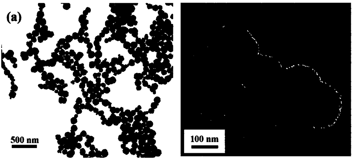 Blood lead cleaner for blood lead cleaning in vitro