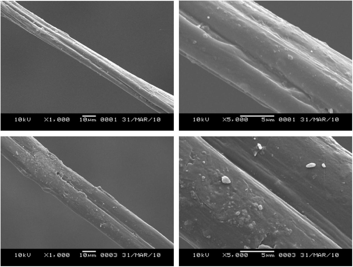 Method for preparing natural functional silk by utilizing living silkworms to directly spin