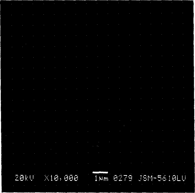 Mullite whisker-mullite composite coating and preparation process thereof