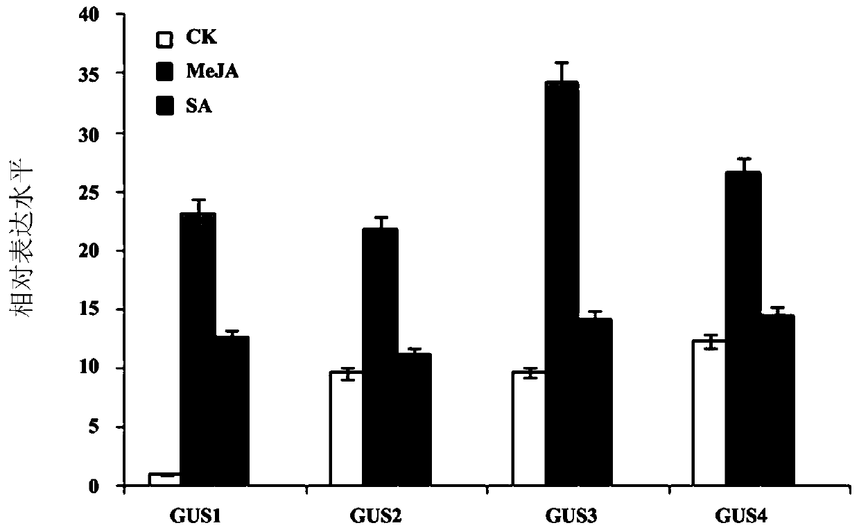 A kind of inducible promoter and its application