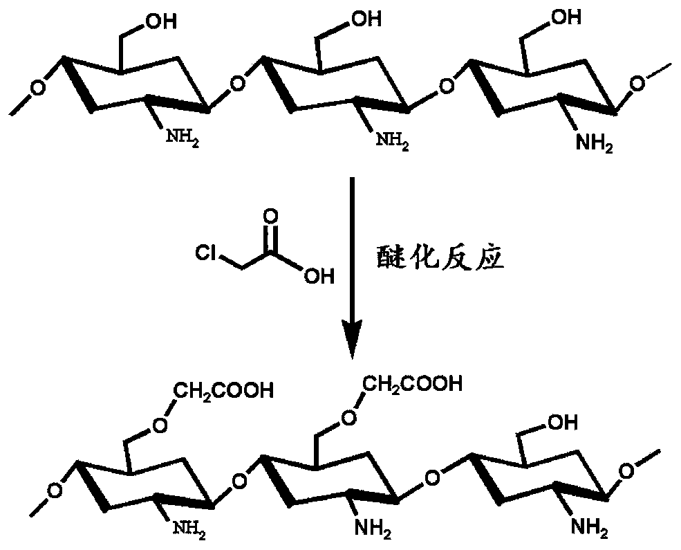 Self-healing multi-bridging network chitosan derivatization hydrogel and preparation method thereof