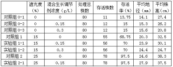 A growth regulator for cultivating strong seedlings of Zinan and method for cultivating strong seedlings