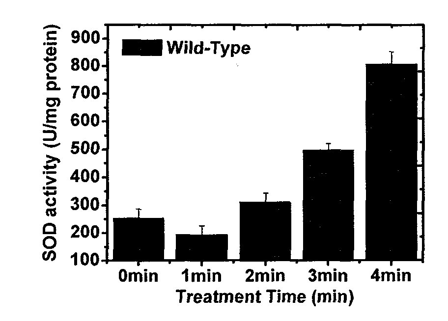 Preparation method for anti-oxidation anti-ultraviolet active yeast extract based on low temperature plasma