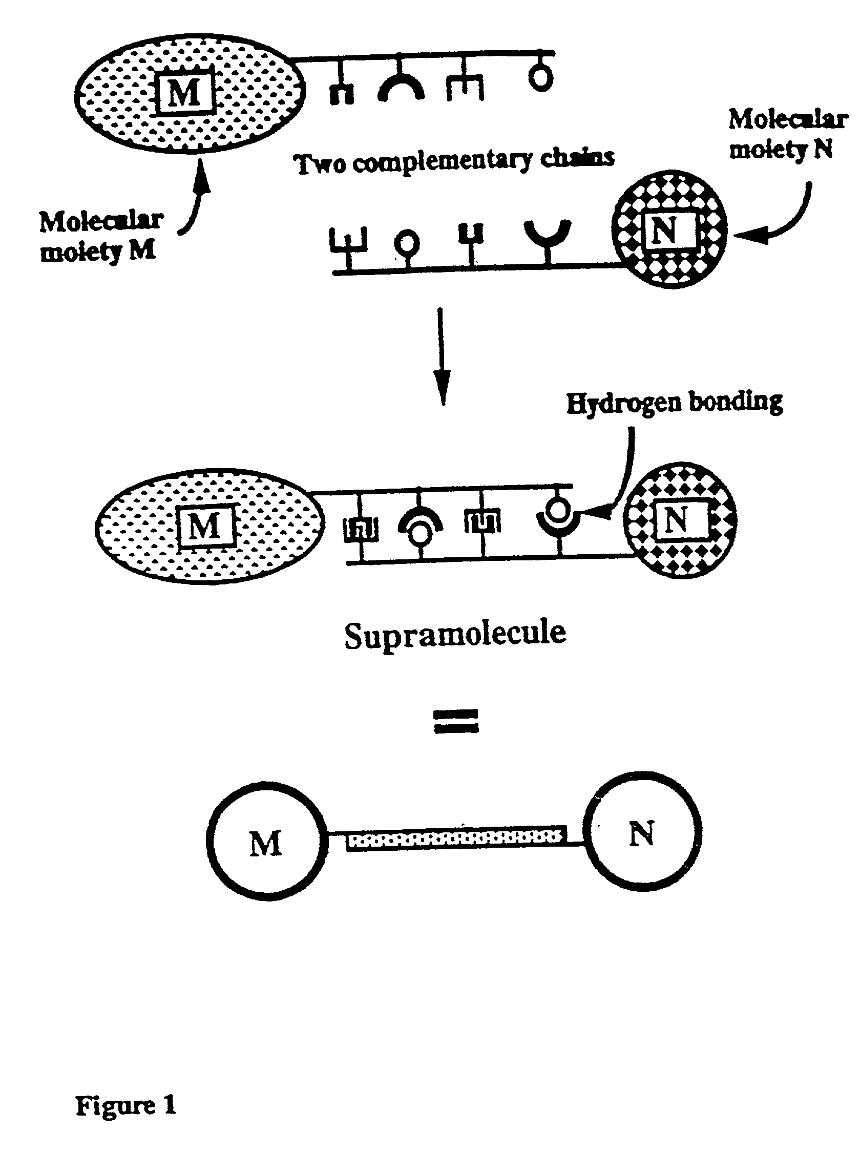 Novel therapeutic binding molecule complexes