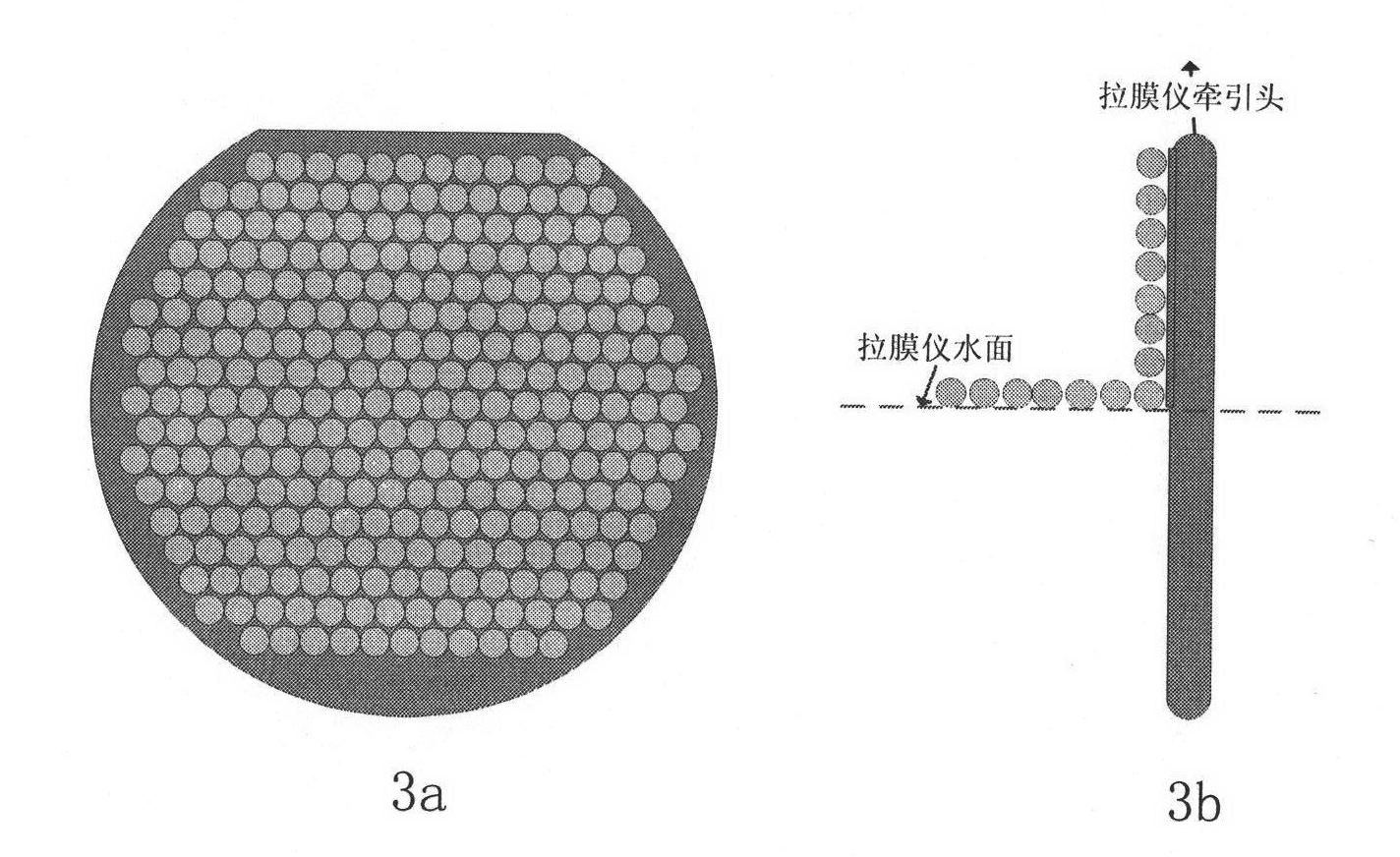 Broad-spectrum wide angle absorption solar cell moth-eye antireflection structure and preparation method thereof