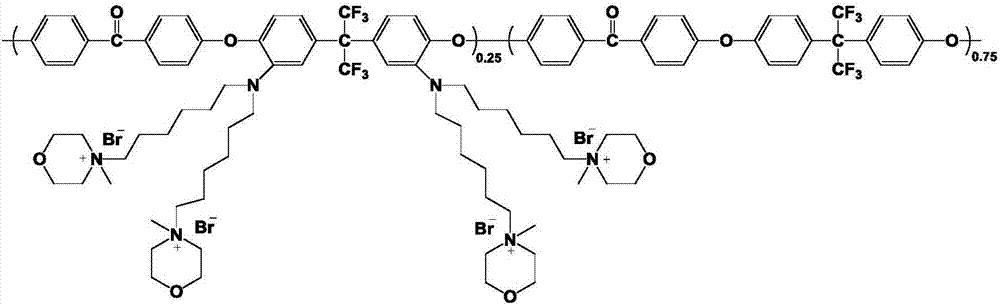 Multibranched polyaryletherketone anion-exchange membrane and preparation method thereof