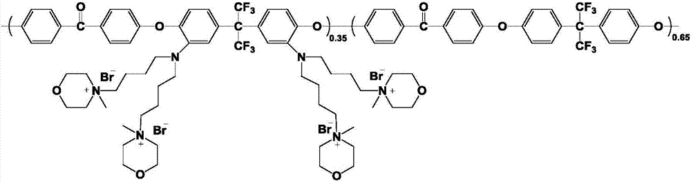 Multibranched polyaryletherketone anion-exchange membrane and preparation method thereof