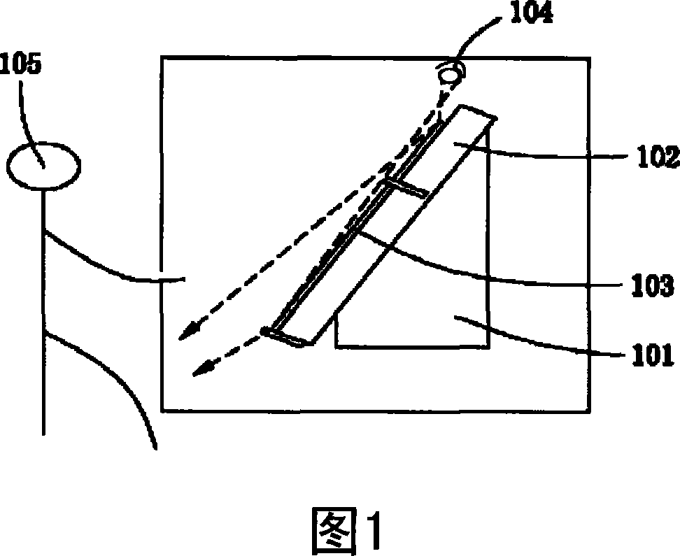 Plate processing apparatus