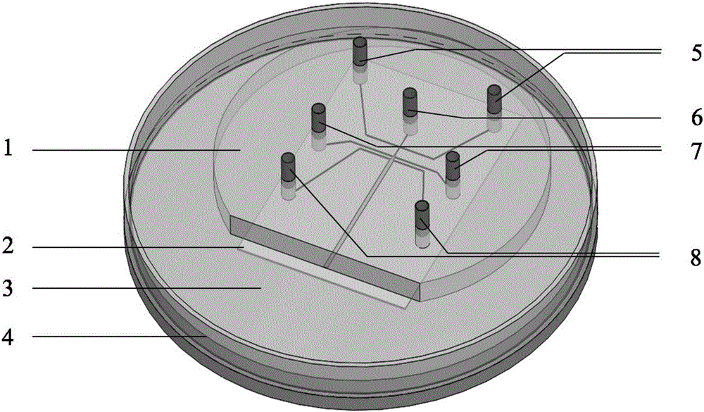 Apparatus and method for synthesizing superparamagnetic microcapsule based on microfluidic technology