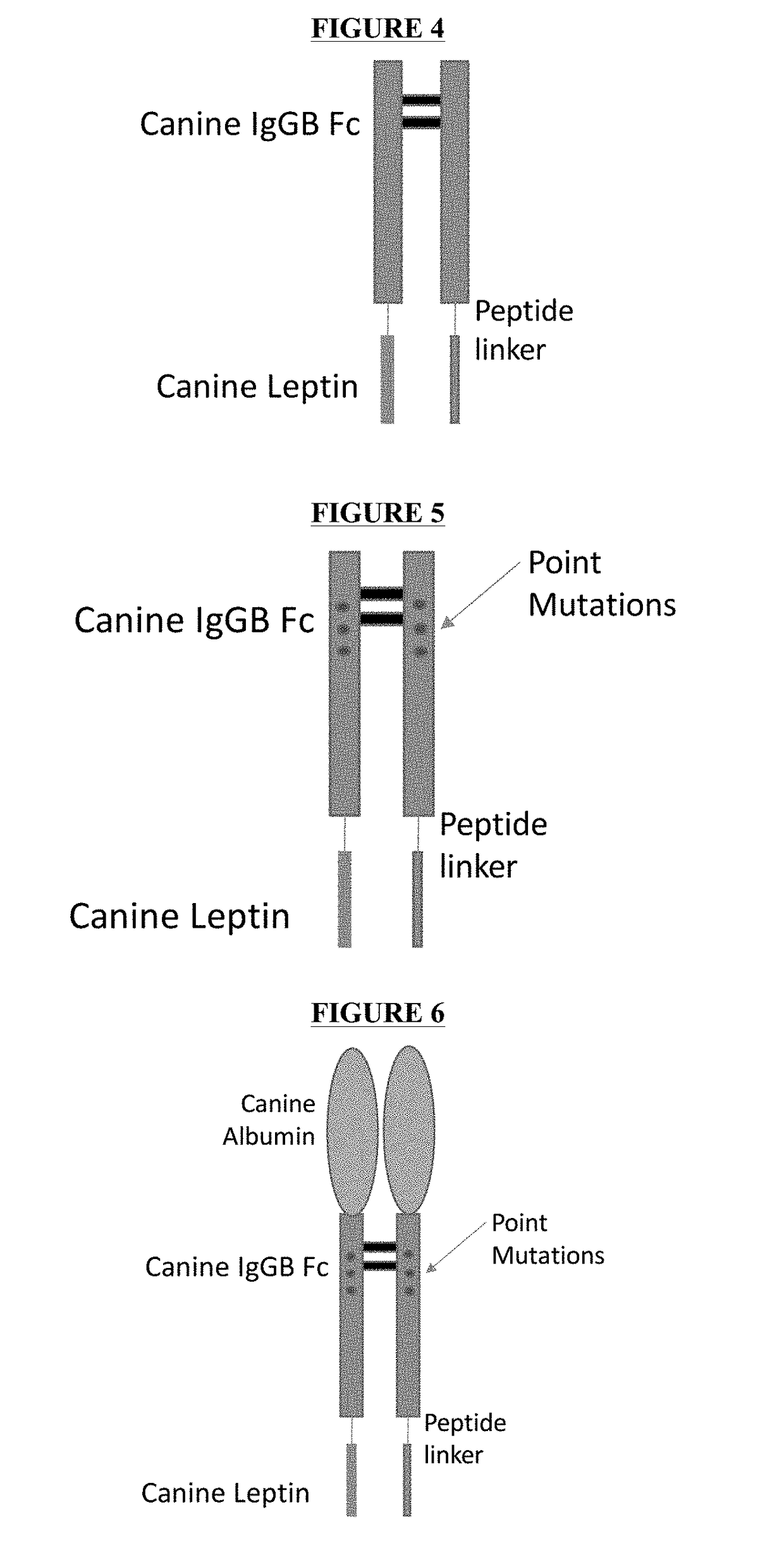 Fusion Protein Comprising Leptin and Methods for Producing and Using the Same