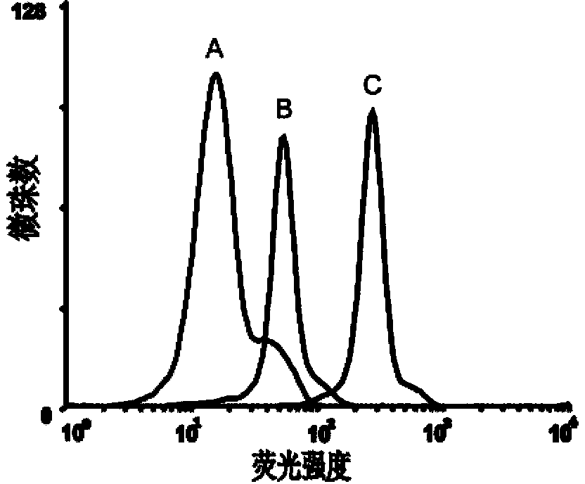 Aptamer EpCAM (epithelial cell adhesion molecule) B of EpCAM and preparation method thereof