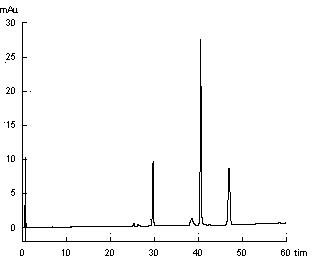 Ziziphora clinopodioides Lam fingerprint and establishment method thereof