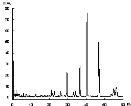 Ziziphora clinopodioides Lam fingerprint and establishment method thereof