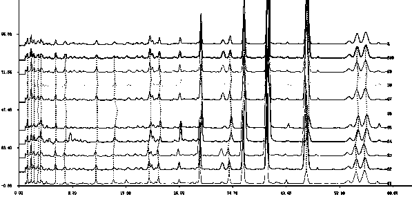 Ziziphora clinopodioides Lam fingerprint and establishment method thereof