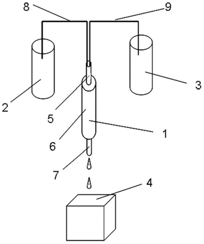 Signal amplification immunodetection method