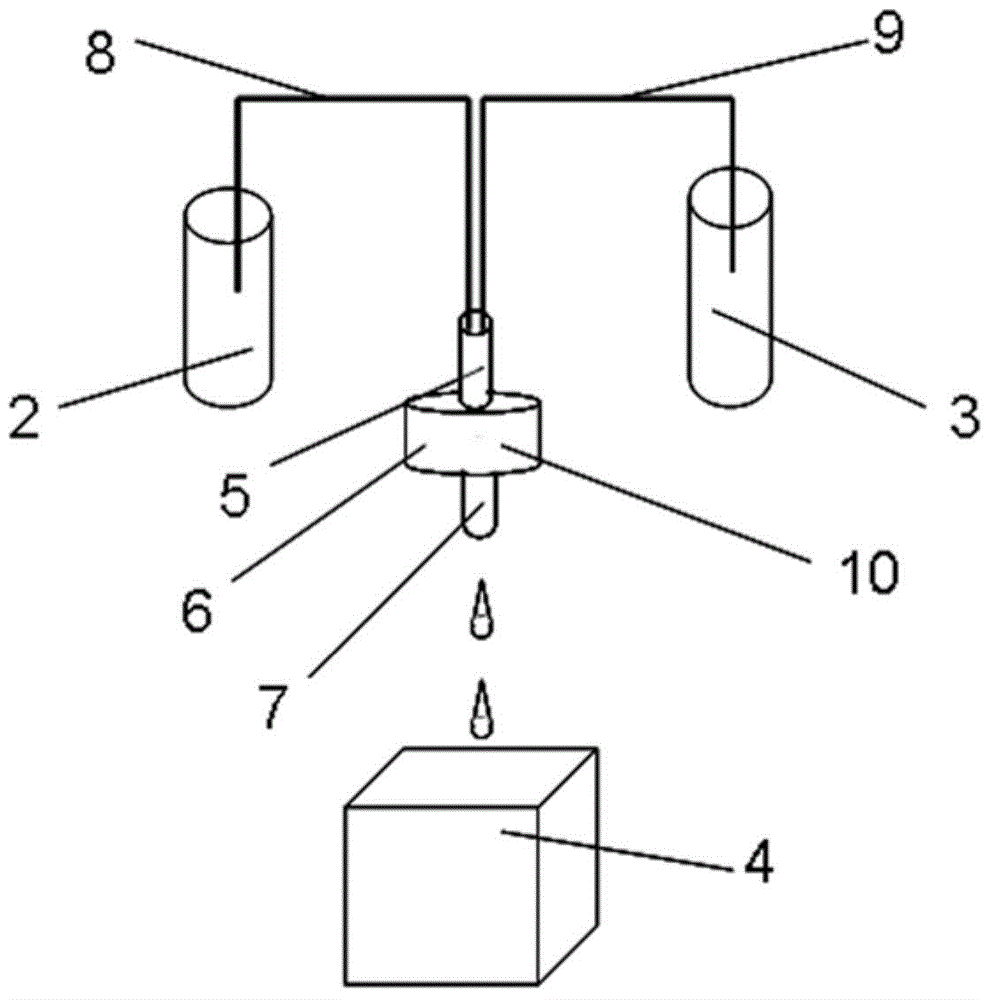 Signal amplification immunodetection method