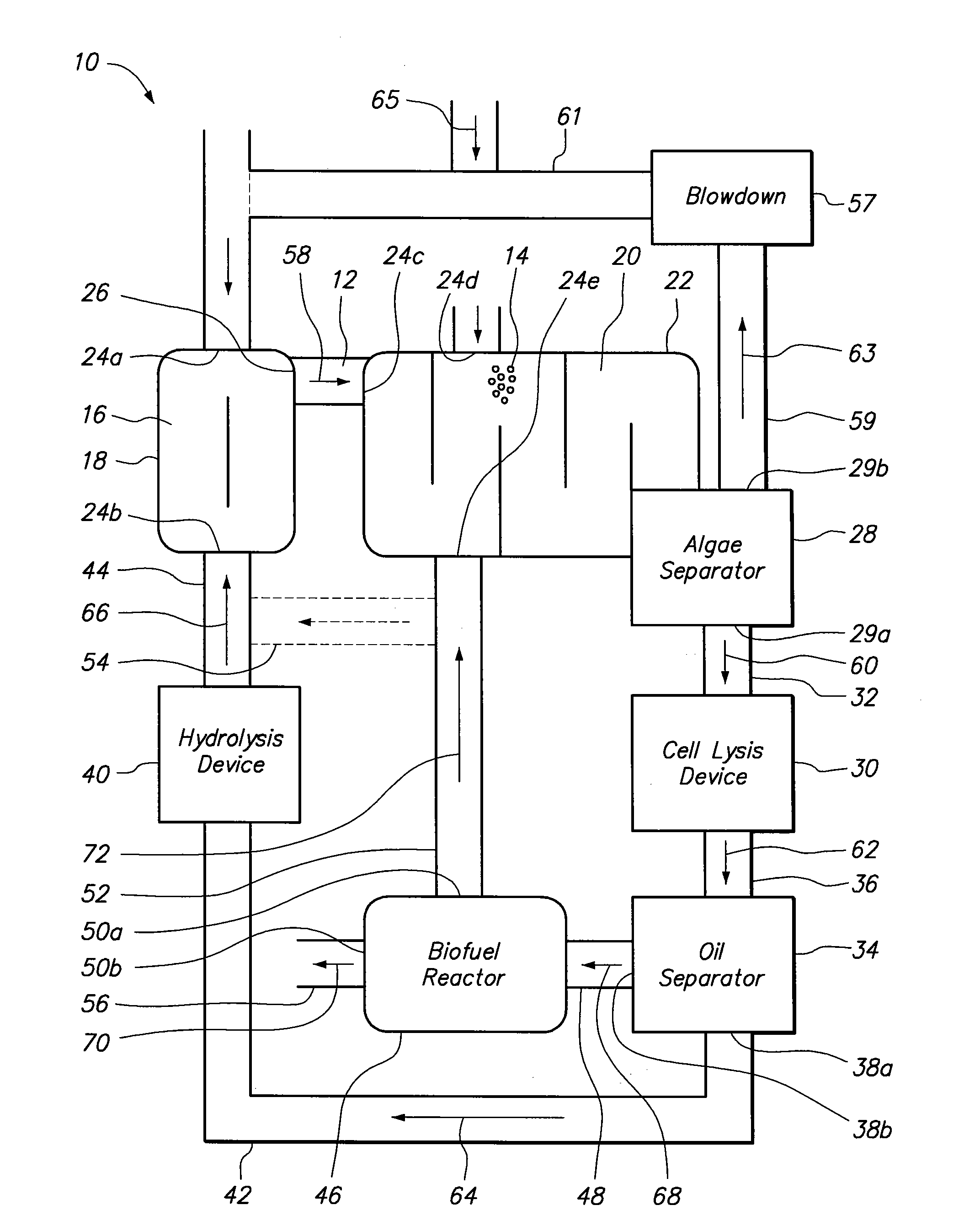 Photosynthetic oil production with high carbon dioxide utilization