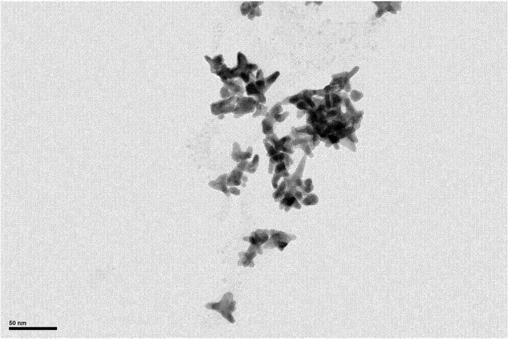 A simple small-sized gold nanostar with adjustable branch length and its preparation method