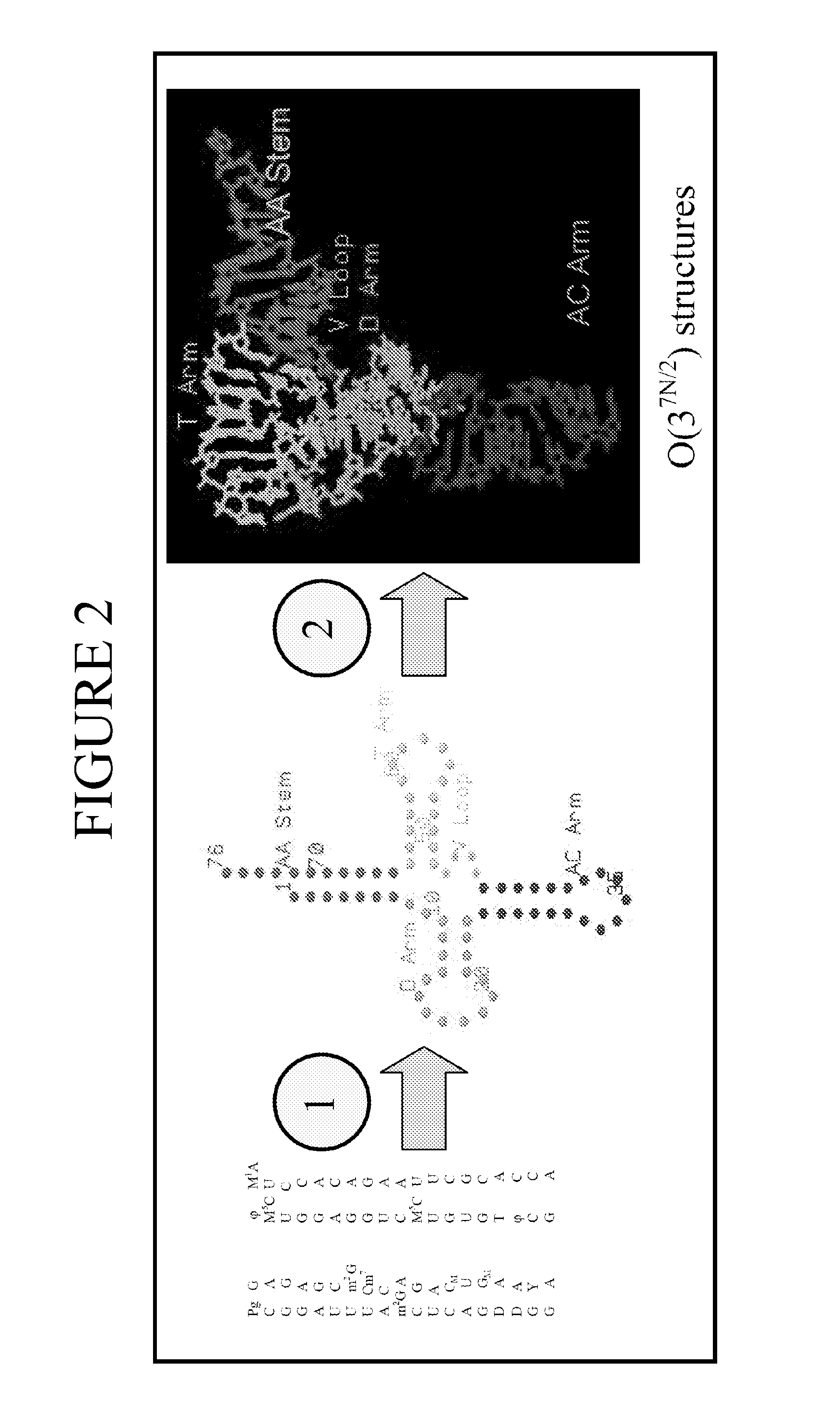 System and methods for three dimensional molecular structural analysis