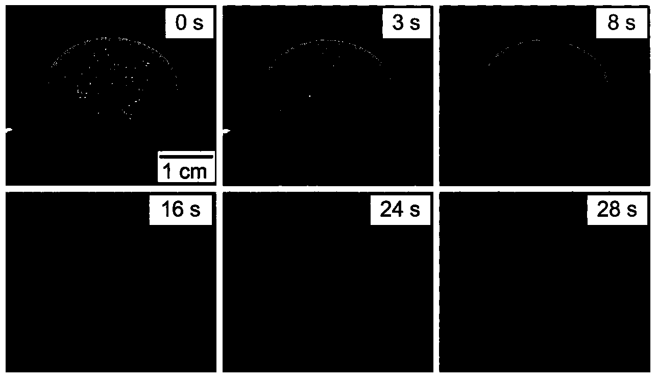 Preparation method of lithium silicate porous material used for absorption of high temperature CO2