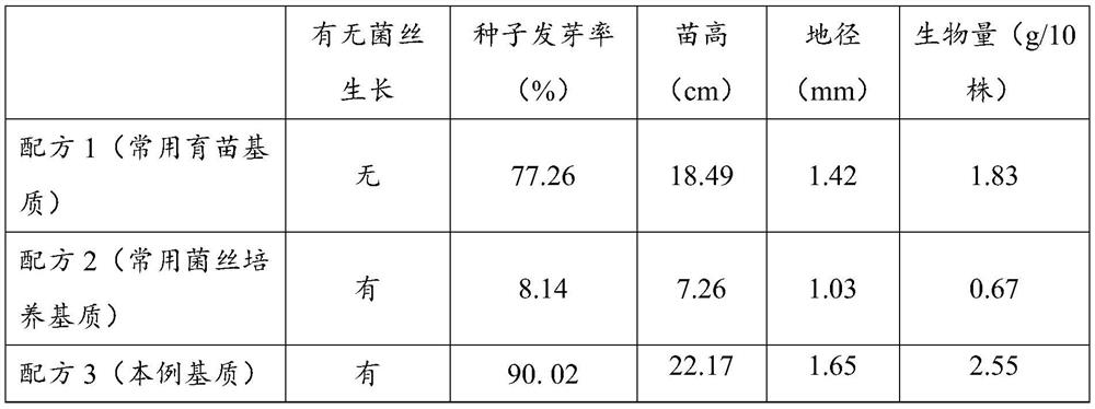 Seedling mycorrhization method with mycorrhizal fungus mycelium culture medium as seedling culture medium and application of seedling mycorrhization method