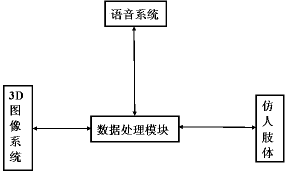 Mountaineering teaching service robot