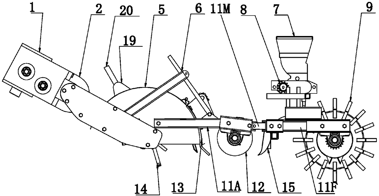 Articulated combined soil preparation and sowing machine for leafy vegetables