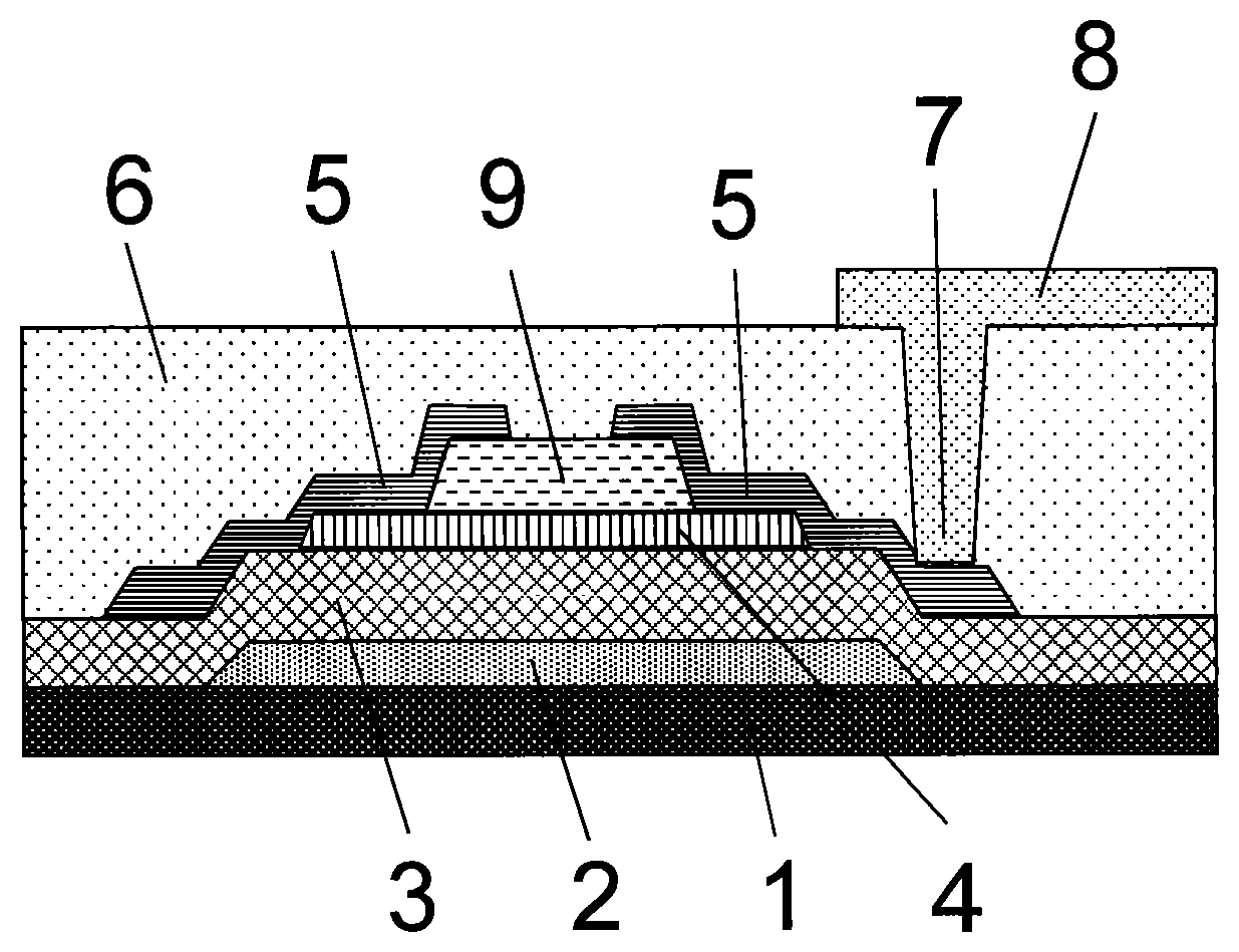 Thin film transistor and display device