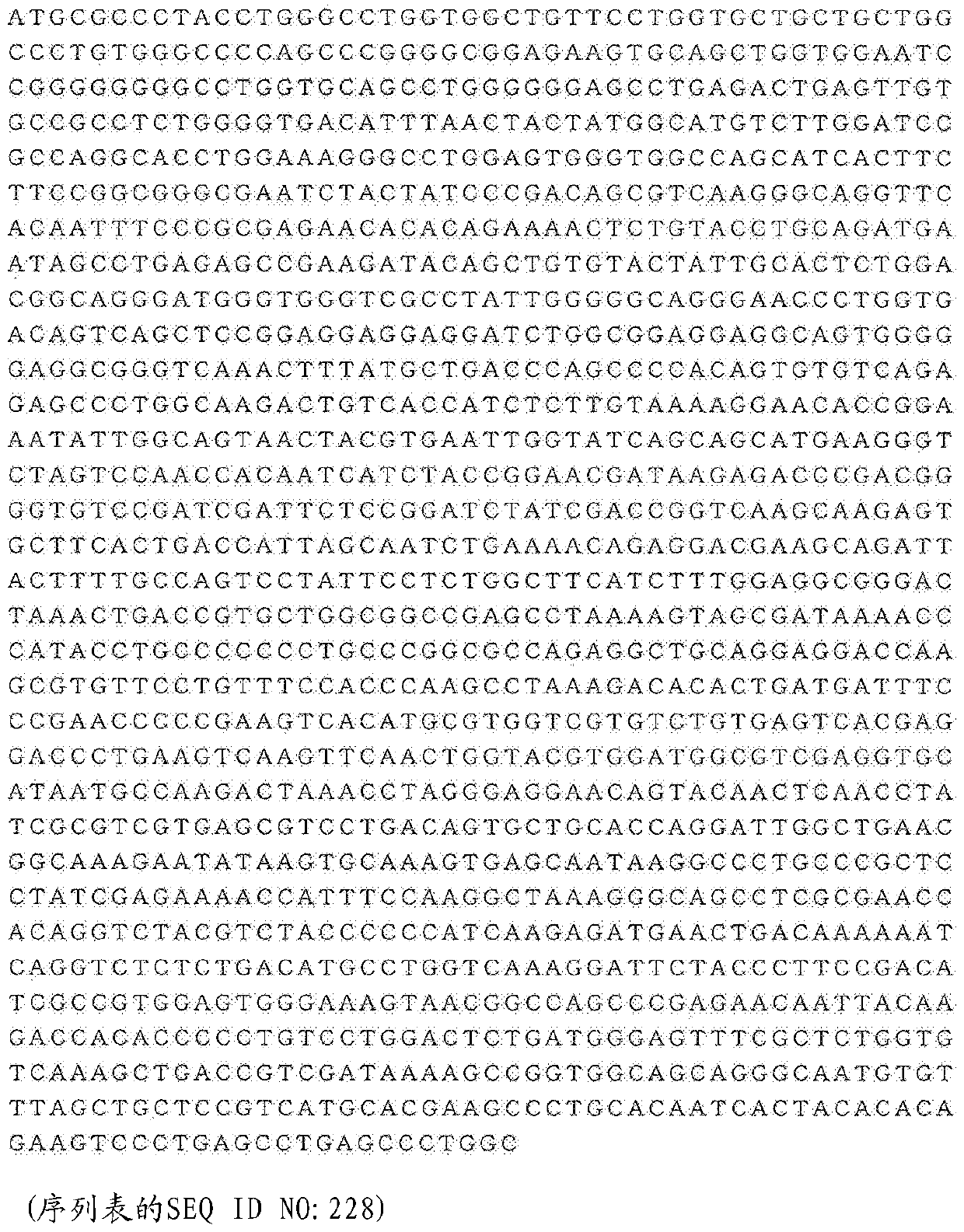 Anti-gprc5d antibody and molecule containing same