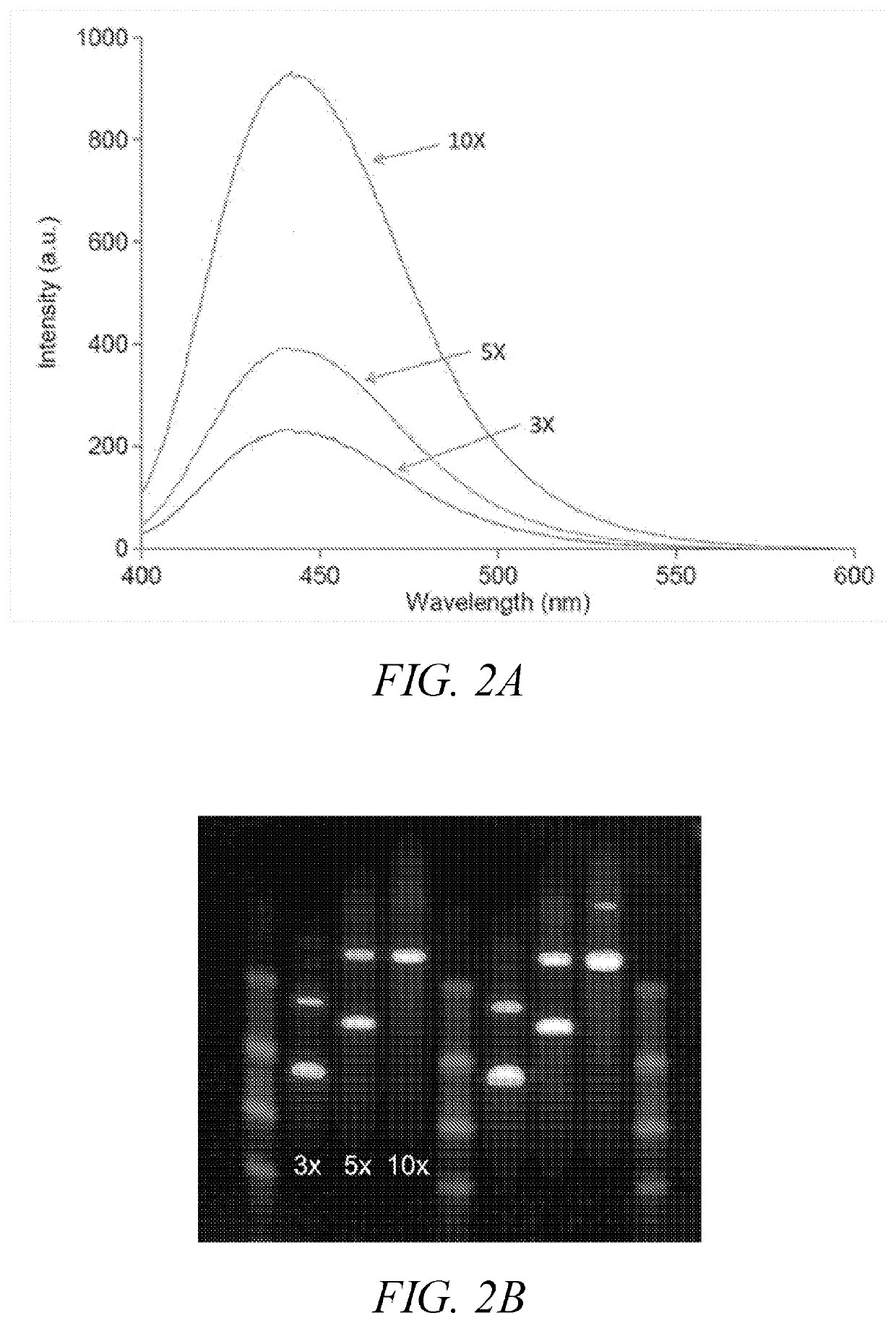 Polymeric dyes having a backbone comprising organophosphate units