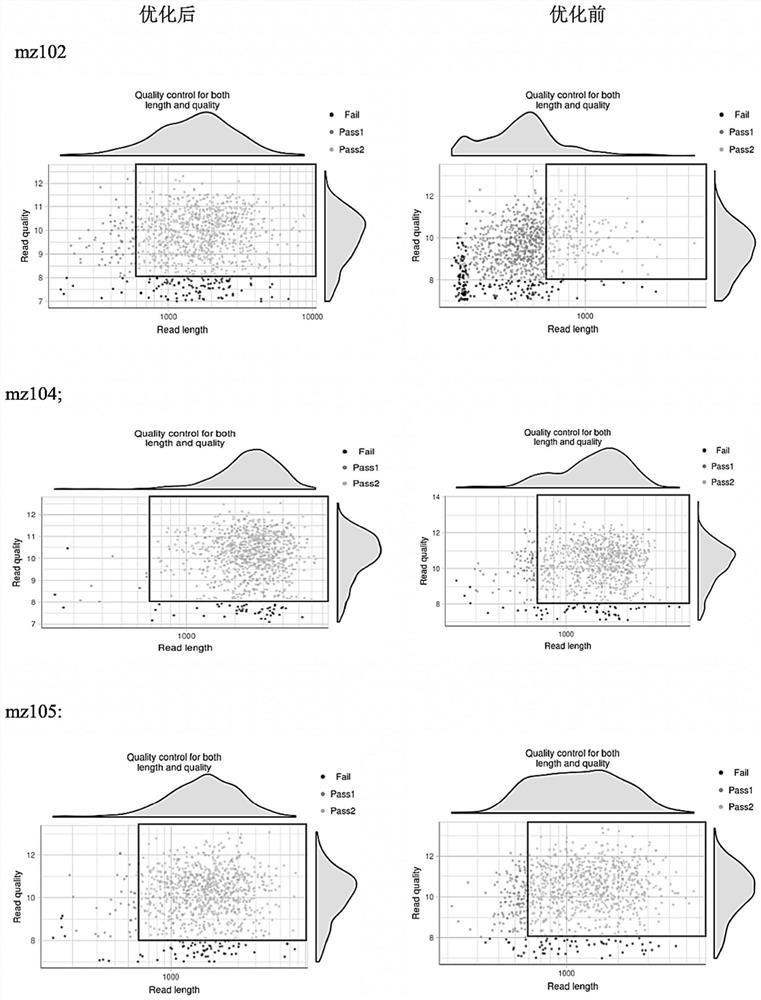 Macro-gene library building method of nanopore sequencing platform and kit thereof