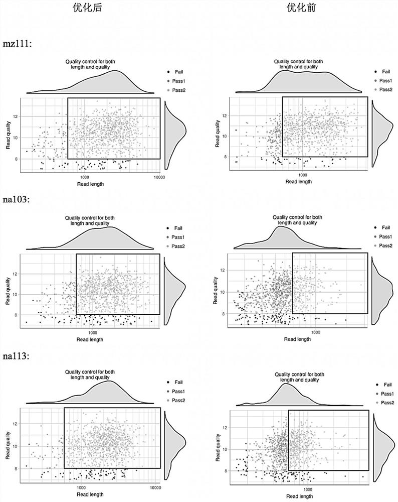 Macro-gene library building method of nanopore sequencing platform and kit thereof