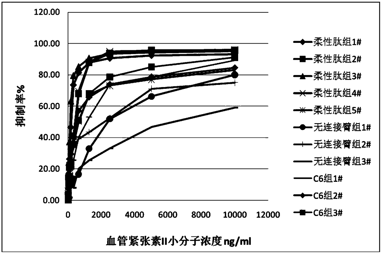 Angiotensin II immunogen and preparation method thereof