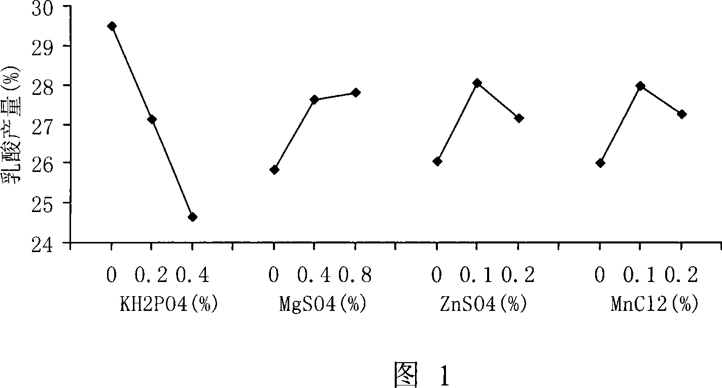 New technique for producing lactic acid through solid state fermenting dregs of potato by rhizopus of rice