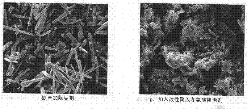 Methods for preparing and applying modified polyaspartic acid scale inhibitor