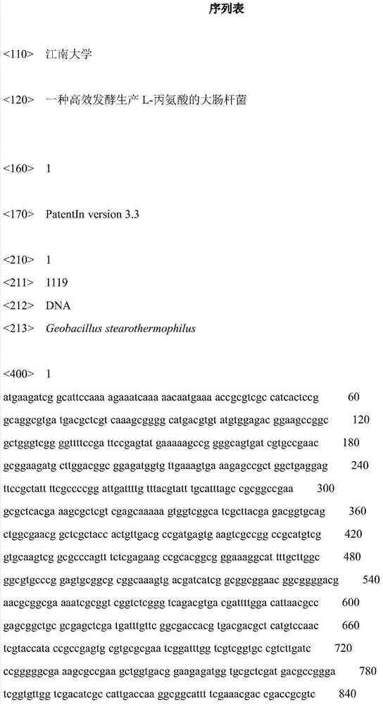 Escherichia coli for efficiently producing L-alanine by fermentation