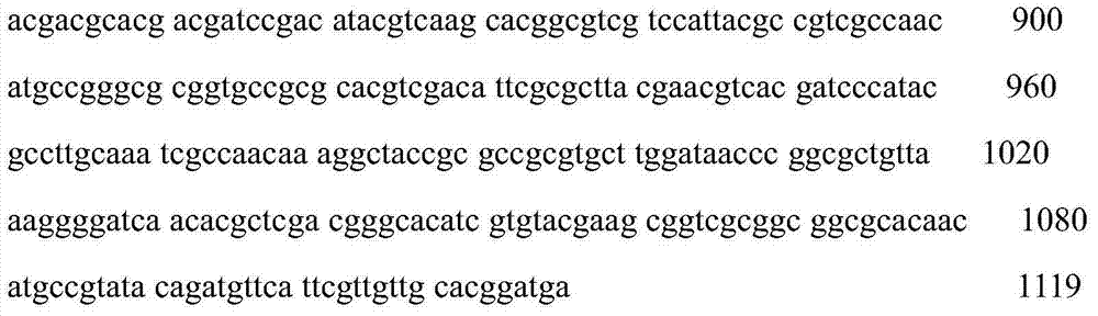 Escherichia coli for efficiently producing L-alanine by fermentation