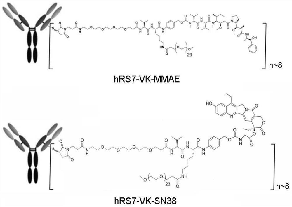 Intermediate for preparing antibody and drug conjugate (ADC) and preparation method and application thereof