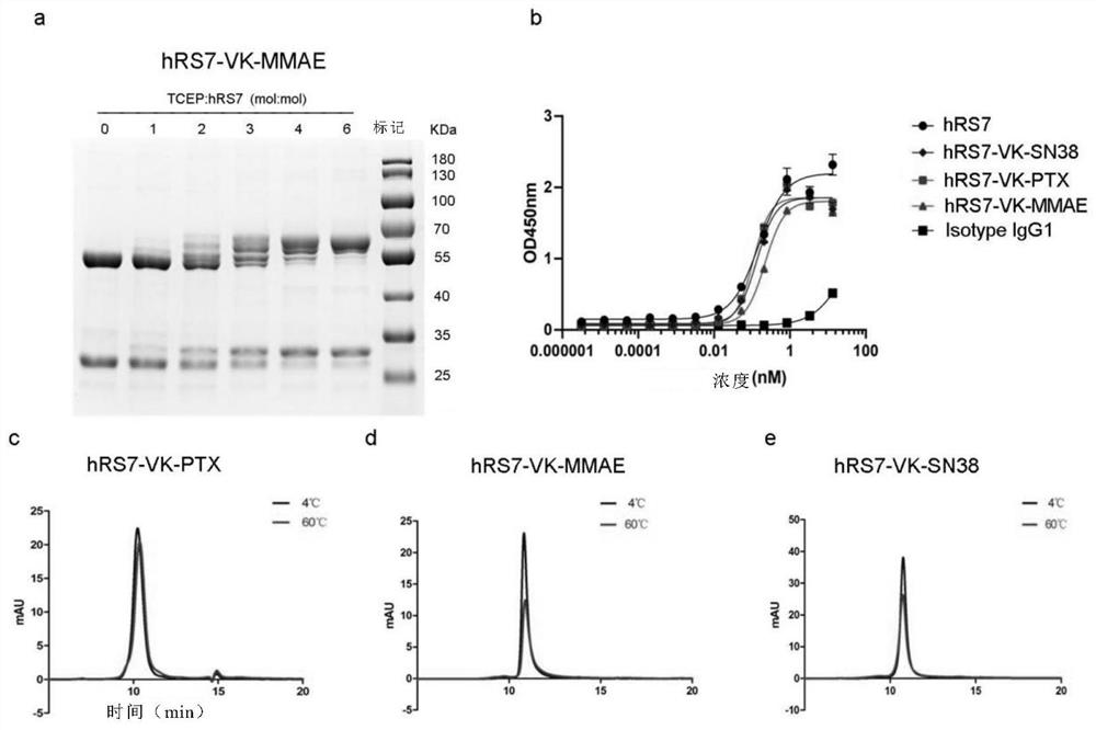 Intermediate for preparing antibody and drug conjugate (ADC) and preparation method and application thereof