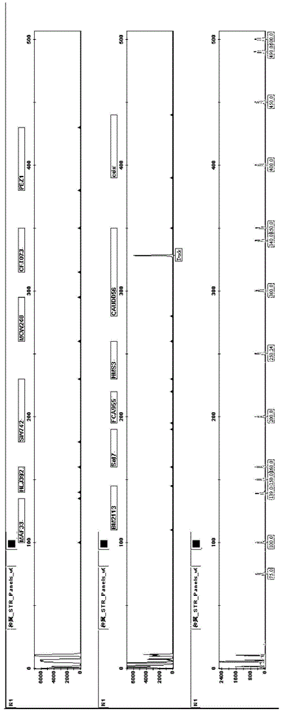 Reagent box for simultaneously detecting diversified components of animal origin and application of reagent box