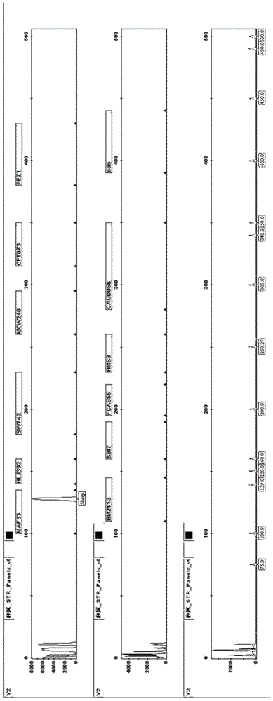 Reagent box for simultaneously detecting diversified components of animal origin and application of reagent box