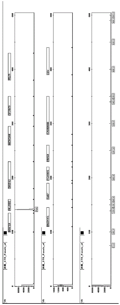 Reagent box for simultaneously detecting diversified components of animal origin and application of reagent box