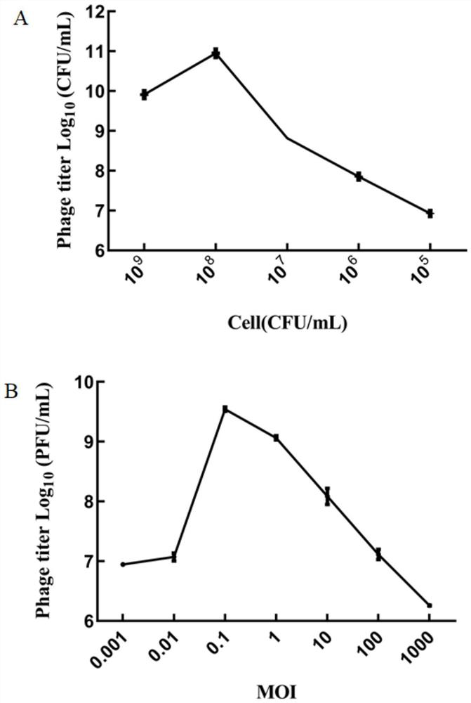 Biological amplification-real-time fluorescent quantitative PCR combined kit and method for rapidly detecting staphylococcus aureus bacteriophage