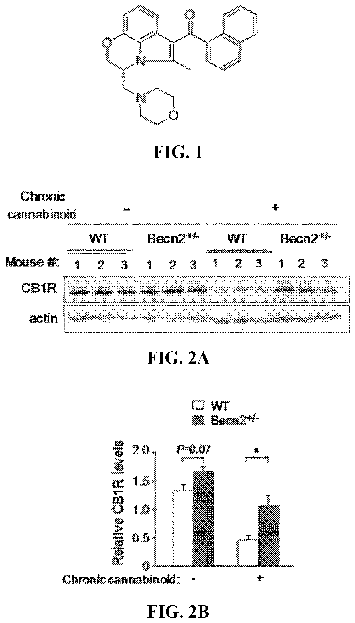 Autophagy inducers for treatment of CNS conditions