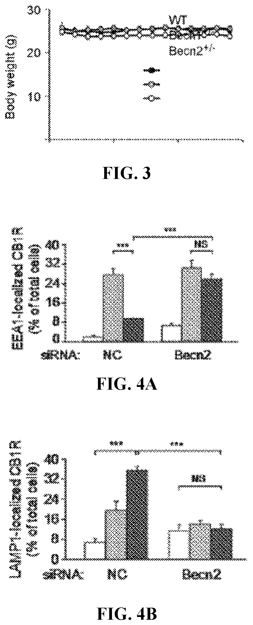 Autophagy inducers for treatment of CNS conditions