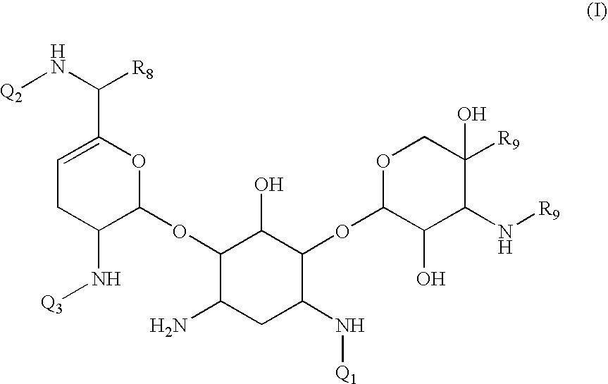 Antibacterial aminoglycoside analogs