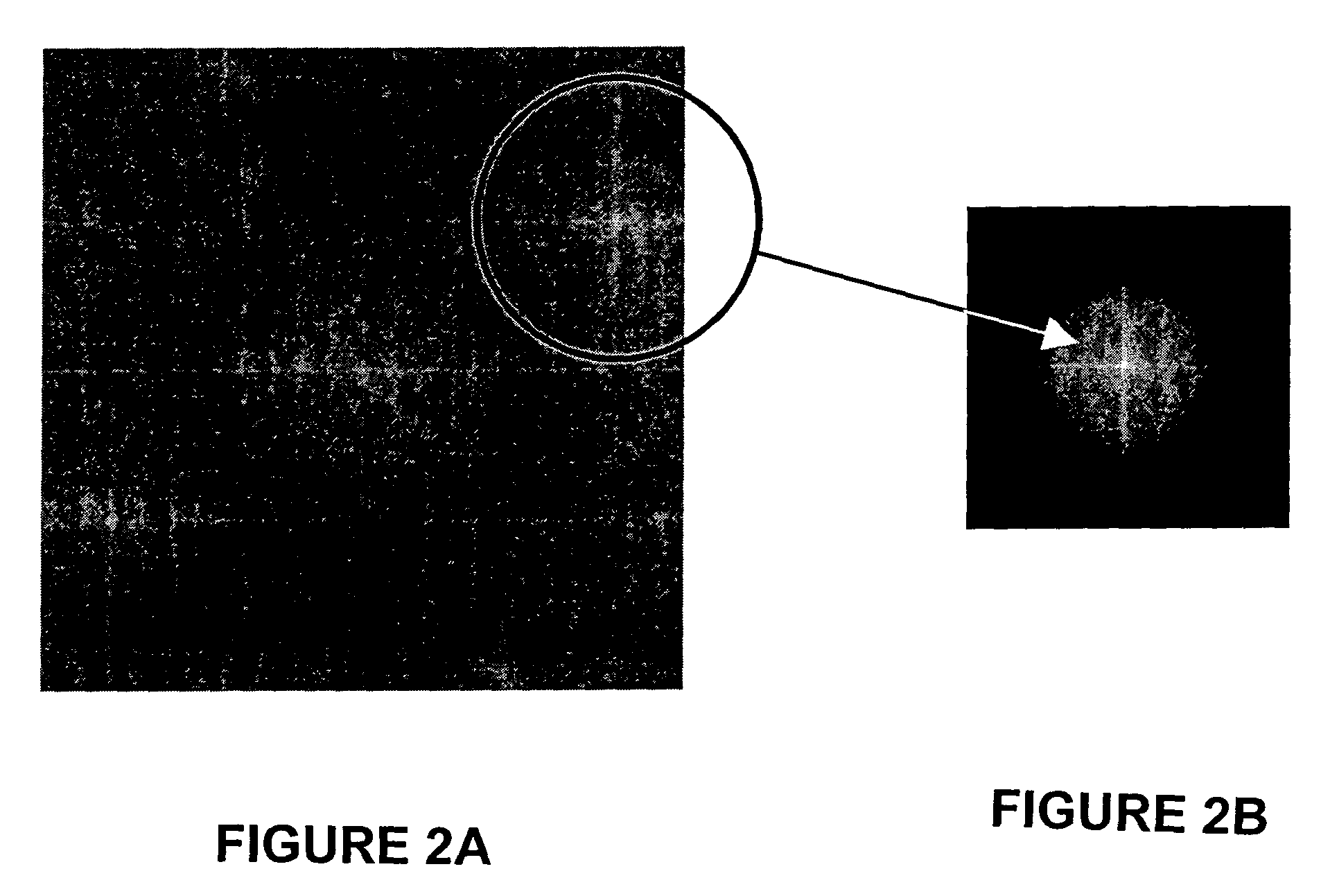 Spatial-heterodyne interferometry for reflection and transmission (SHIRT) measurements