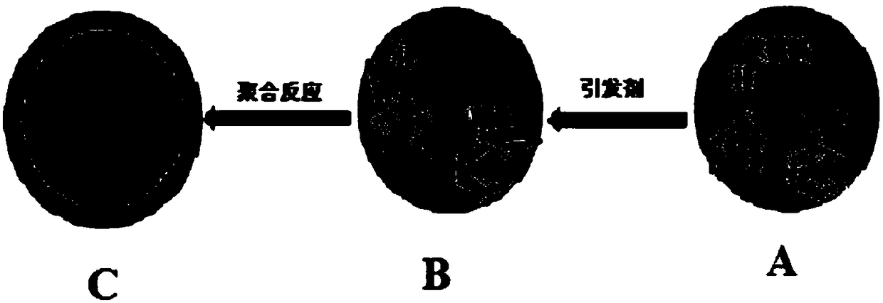 Nitrogen-oxygen co-doped hollow carbon nanospheres as well as preparation method and application thereof