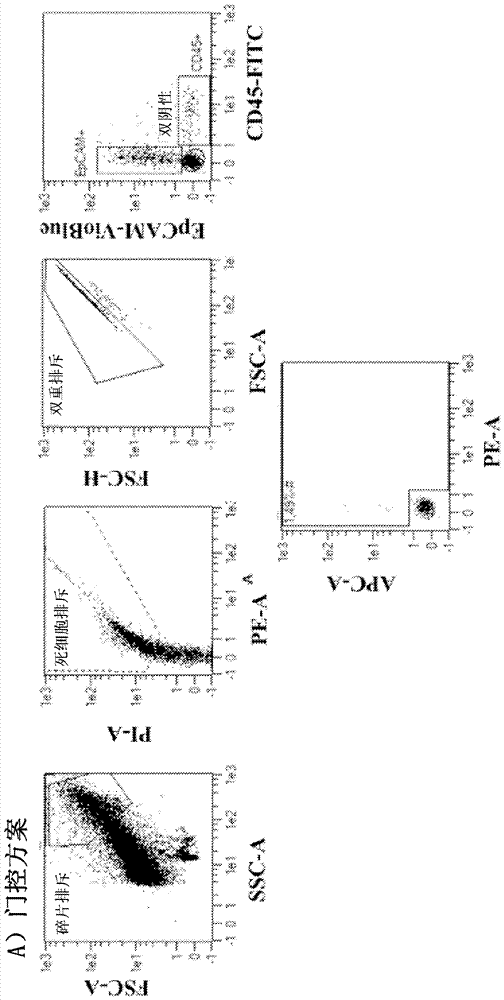 Chimeric antigen receptor specific for tumor cells